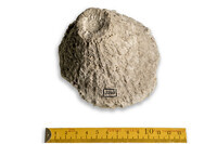 F 03240
<br/>
<br/>
<em></em>